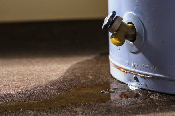 Best Water damage restoration near me  in Hoback, WY