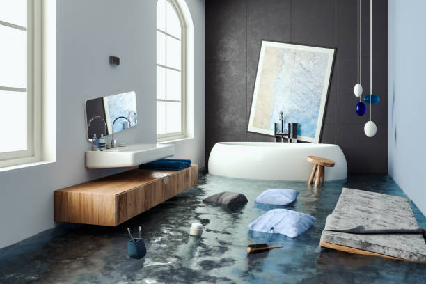 Best Professional water damage repair  in Hoback, WY