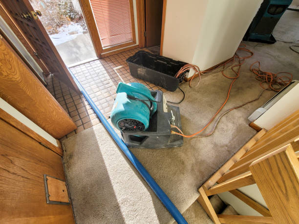 Best Emergency water extraction  in Hoback, WY