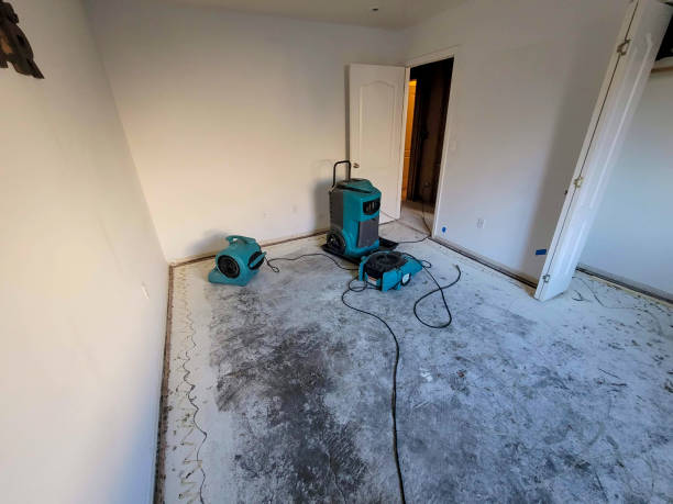 Best Carpet water damage restoration  in Hoback, WY