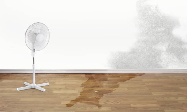 Best Local water damage restoration  in Hoback, WY