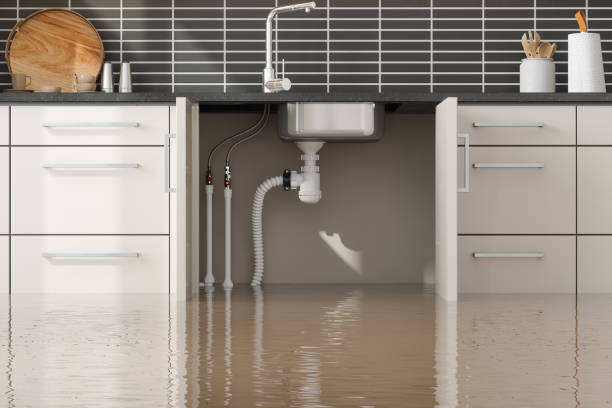 Best Flood restoration services  in Hoback, WY