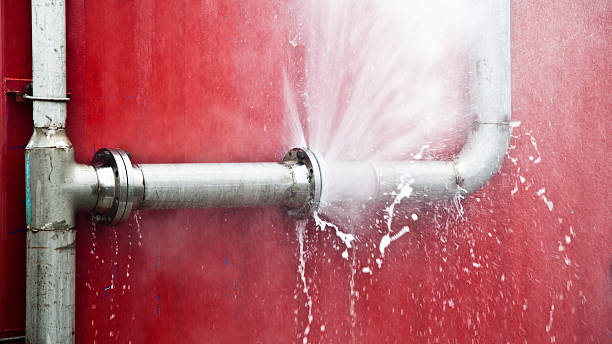 Best Water damage contractors near me  in Hoback, WY