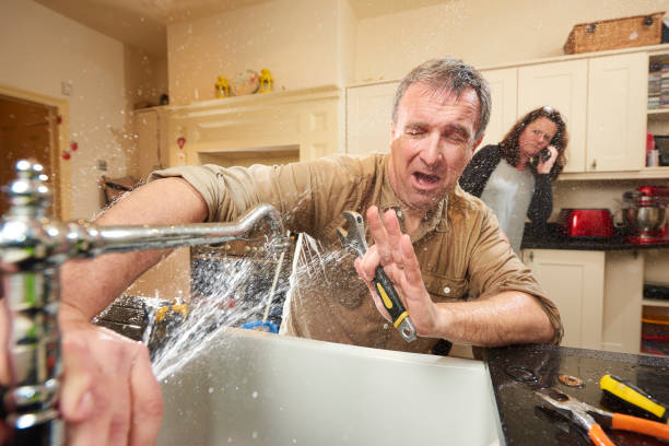 Best Basement water damage restoration  in Hoback, WY